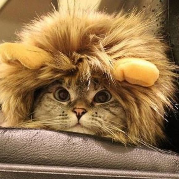 Lion Mane Costume for Cat with Velcro fastener - Picture 1 of 12